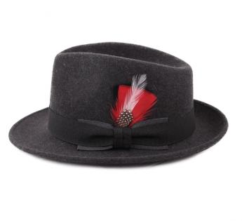 Plumes pour chapeau Hat Feather